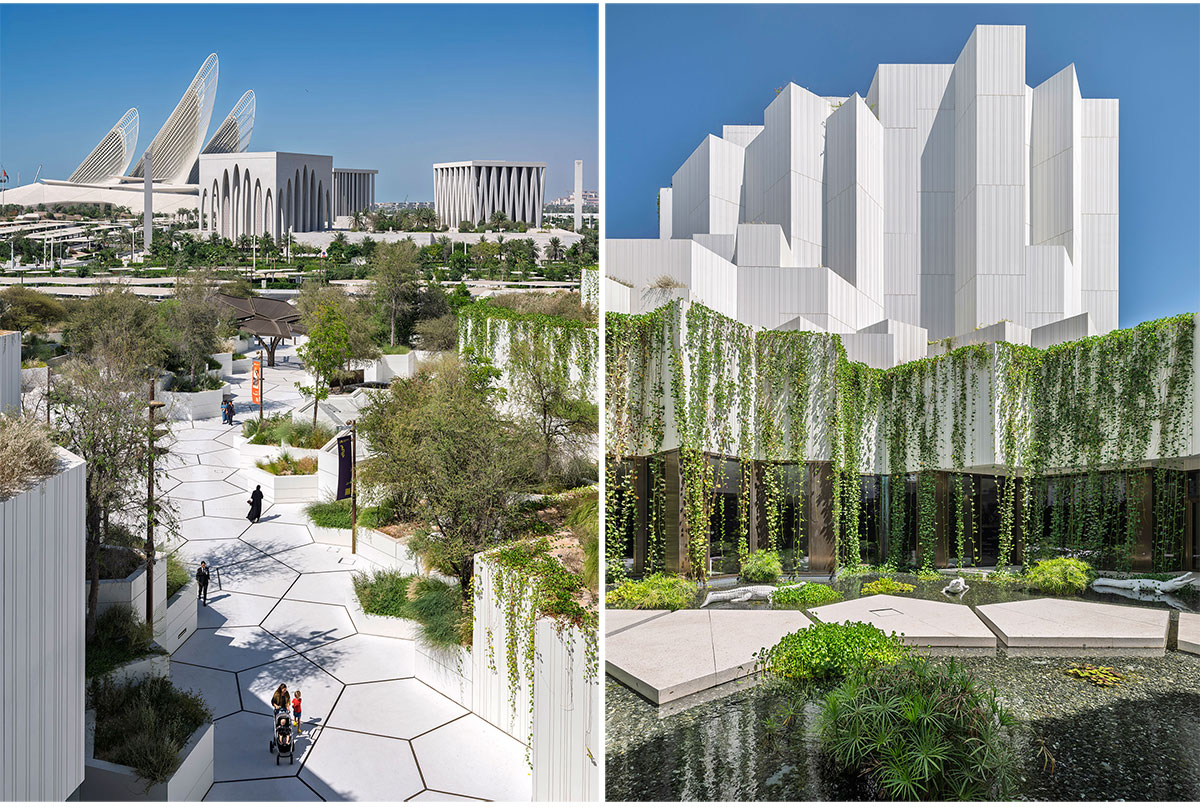 Natural History Museum Abu Dhabi | Mecanoo