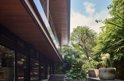 Villa Suki | Alexis Dornier