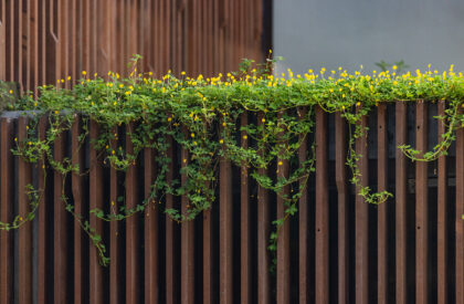 Curtain House | Zero Studio