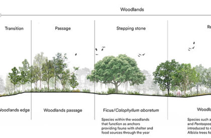 Bidadari Park | Henning Larsen + CPG Consultants
