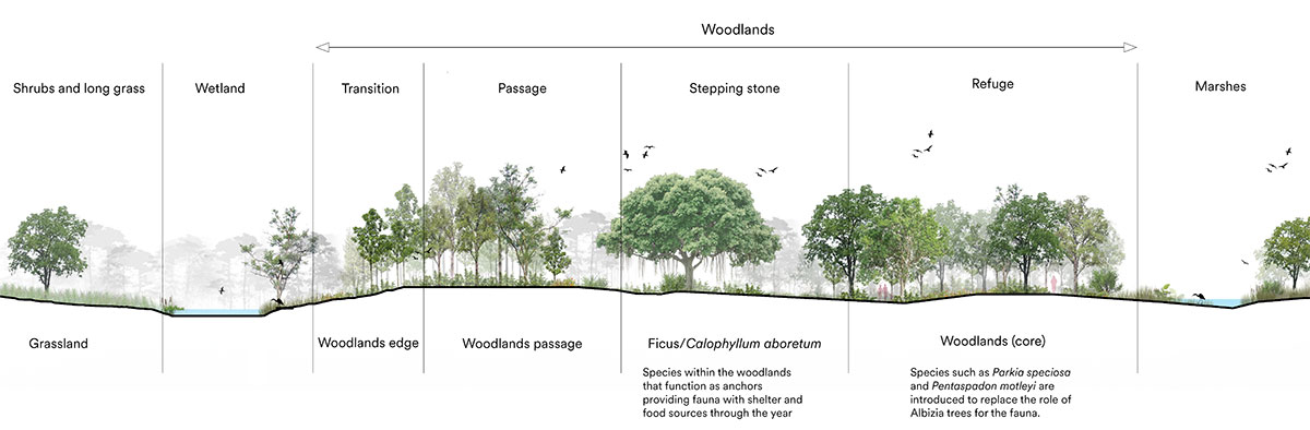 Bidadari Park | Henning Larsen + CPG Consultants