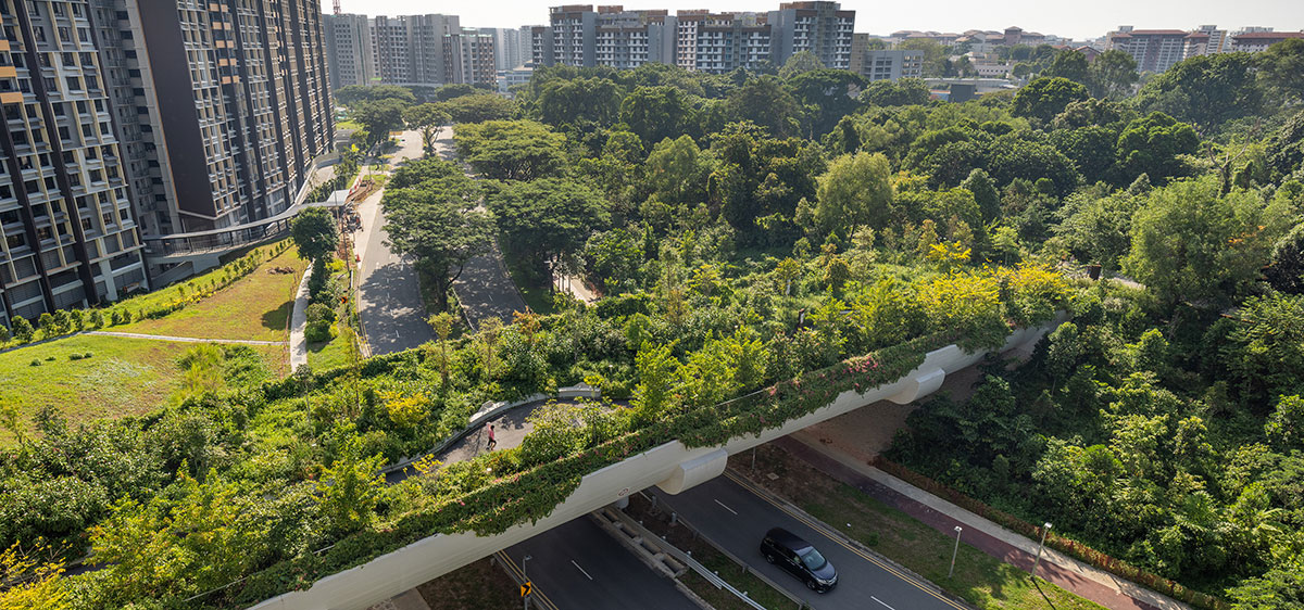 Bidadari Park | Henning Larsen + CPG Consultants