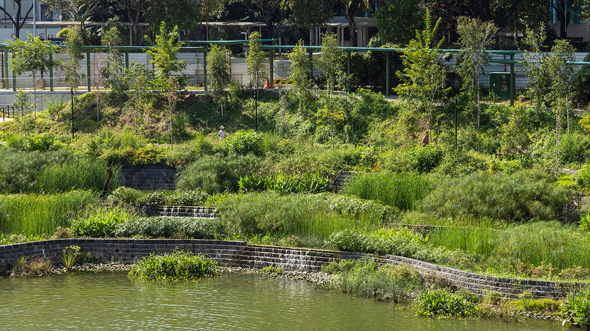 Bidadari Park | Henning Larsen + CPG Consultants