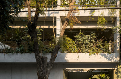 Departamentos DGB | Estudio MMX