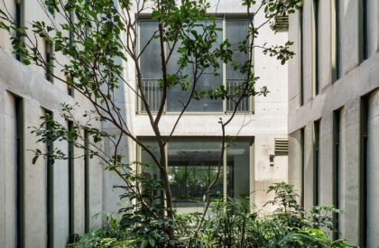 Departamentos DGB | Estudio MMX