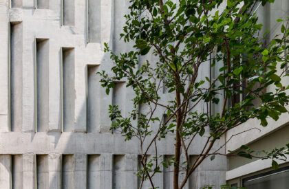 Departamentos DGB | Estudio MMX