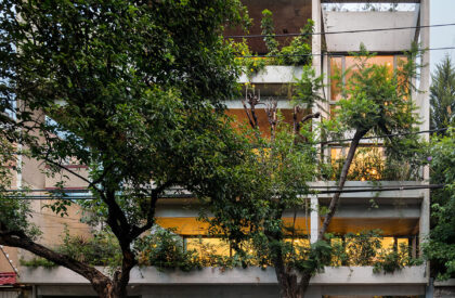Departamentos DGB | Estudio MMX