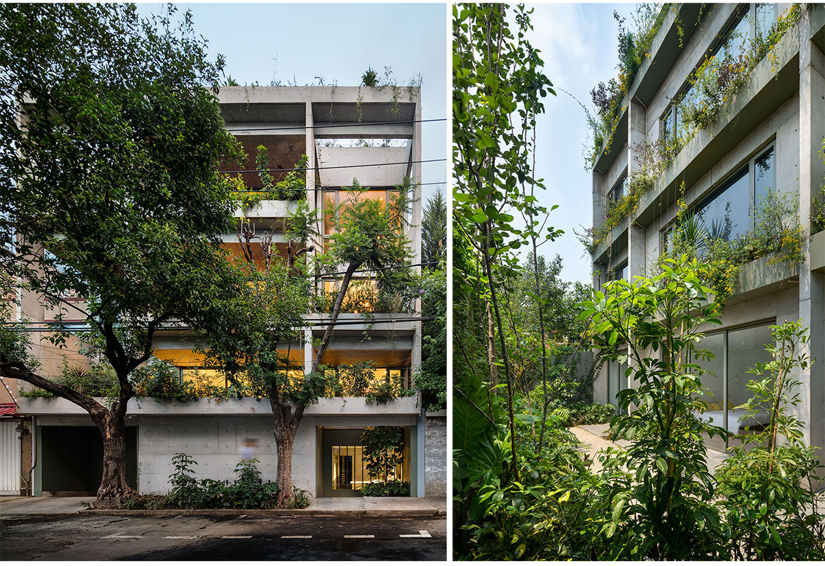 Departamentos DGB | Estudio MMX