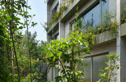 Departamentos DGB | Estudio MMX