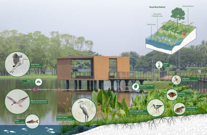 Dr. M.S. Swaminathan Wetland Eco Sponge Park | Sponge Collaborative