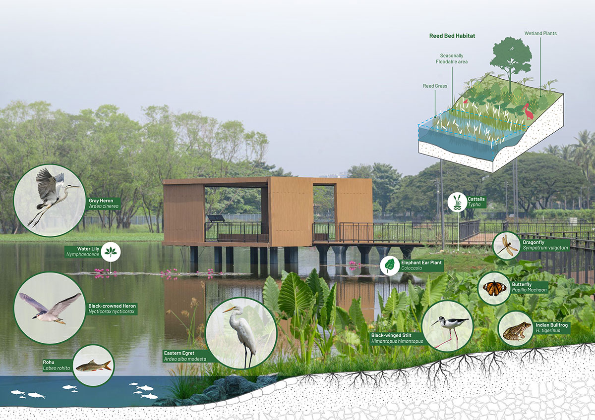 Dr. M.S. Swaminathan Wetland Eco Sponge Park | Sponge Collaborative