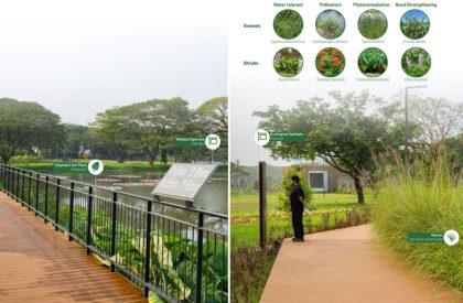 Dr. M.S. Swaminathan Wetland Eco Sponge Park | Sponge Collaborative