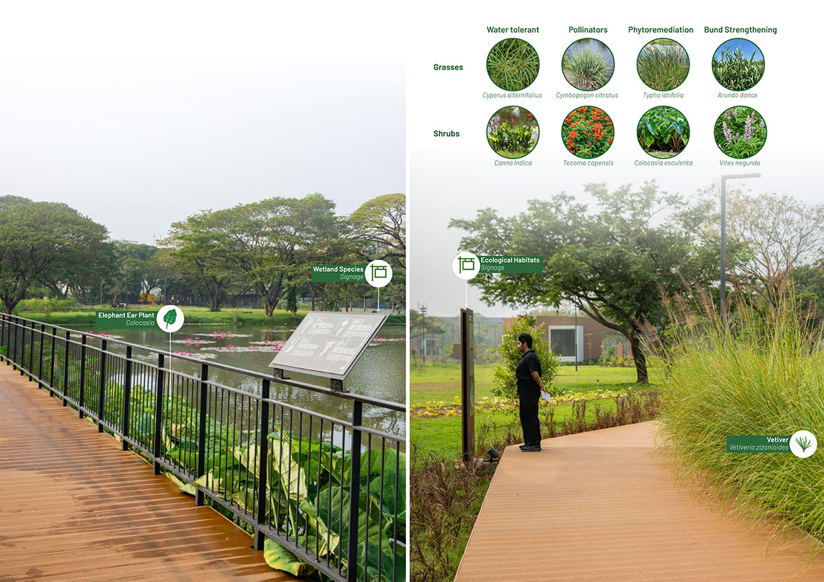Dr. M.S. Swaminathan Wetland Eco Sponge Park | Sponge Collaborative