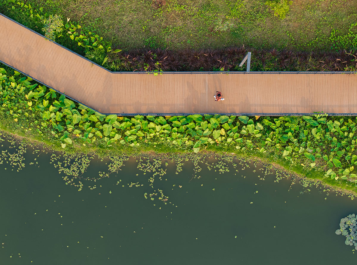 Dr. M.S. Swaminathan Wetland Eco Sponge Park | Sponge Collaborative