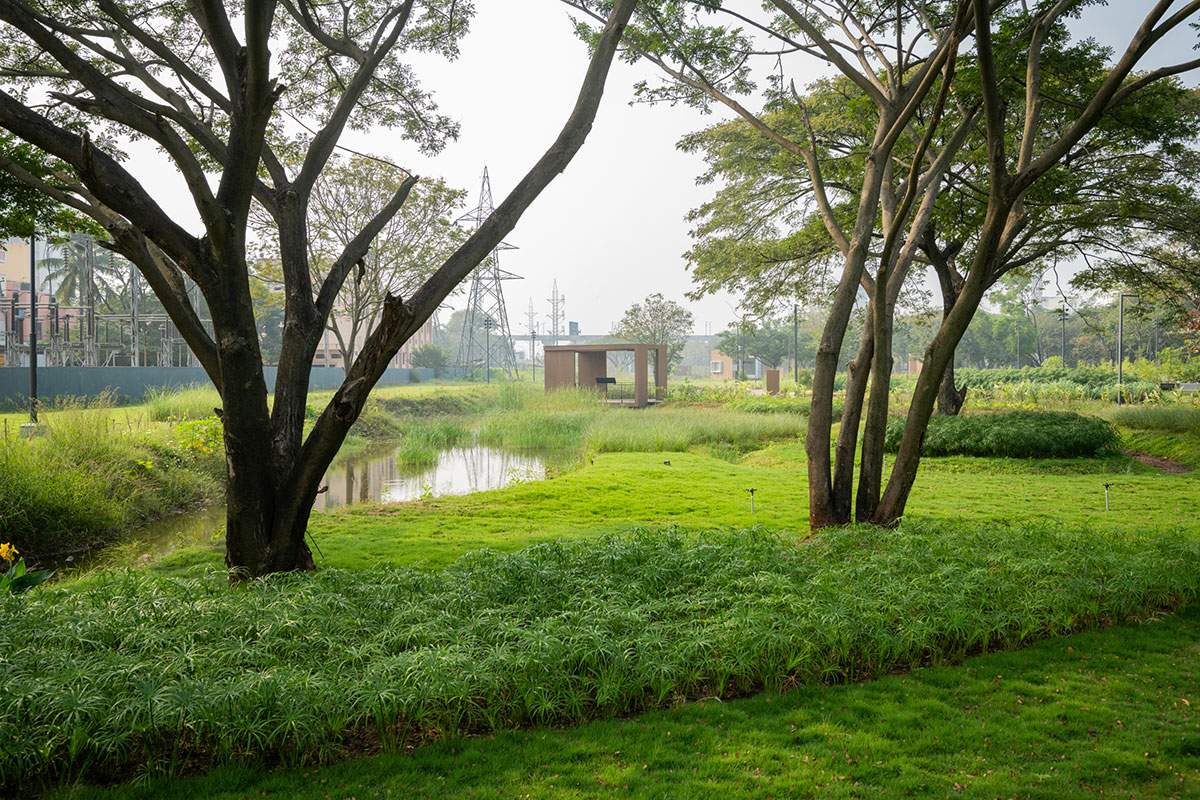Dr. M.S. Swaminathan Wetland Eco Sponge Park | Sponge Collaborative