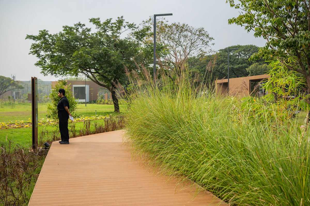 Dr. M.S. Swaminathan Wetland Eco Sponge Park | Sponge Collaborative