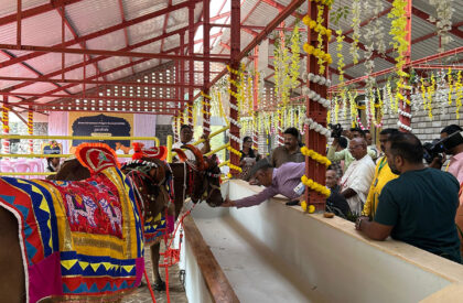 Gaughar | Compartment S4