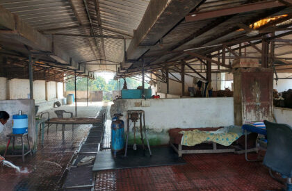 Gaughar | Compartment S4