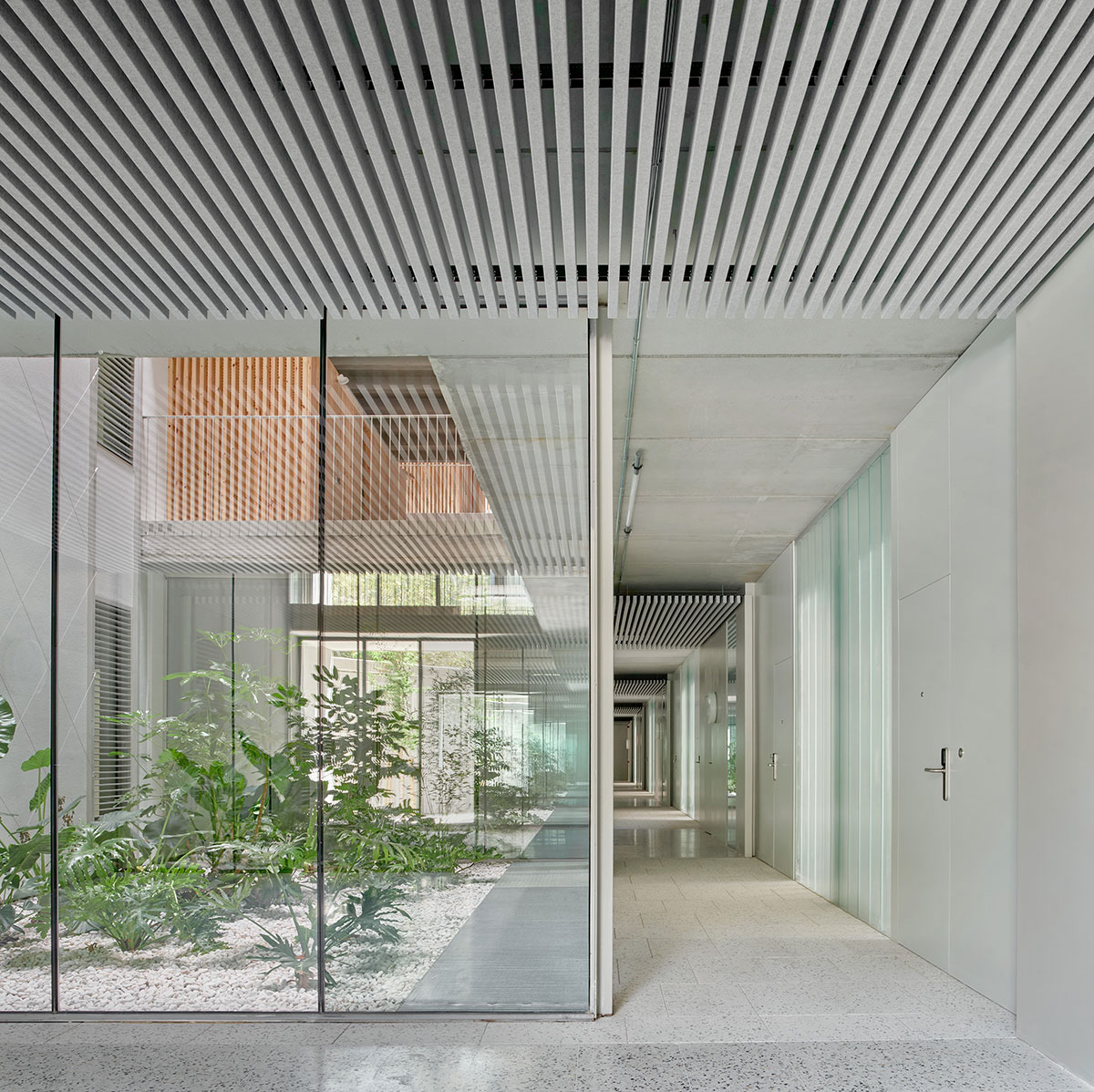 Green House | Peris + Toral Arquitectes + L3J Tècnics Associats