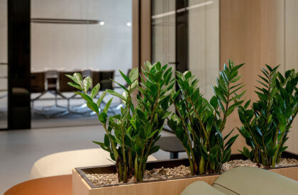 Habitat Spa Headquarters | Monovolume Architecture + Design