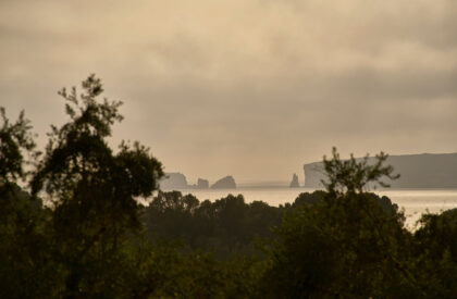 Mandarin Oriental Costa Navarino | Alexandros N. Tombazis & Associates Architects + K-Studio