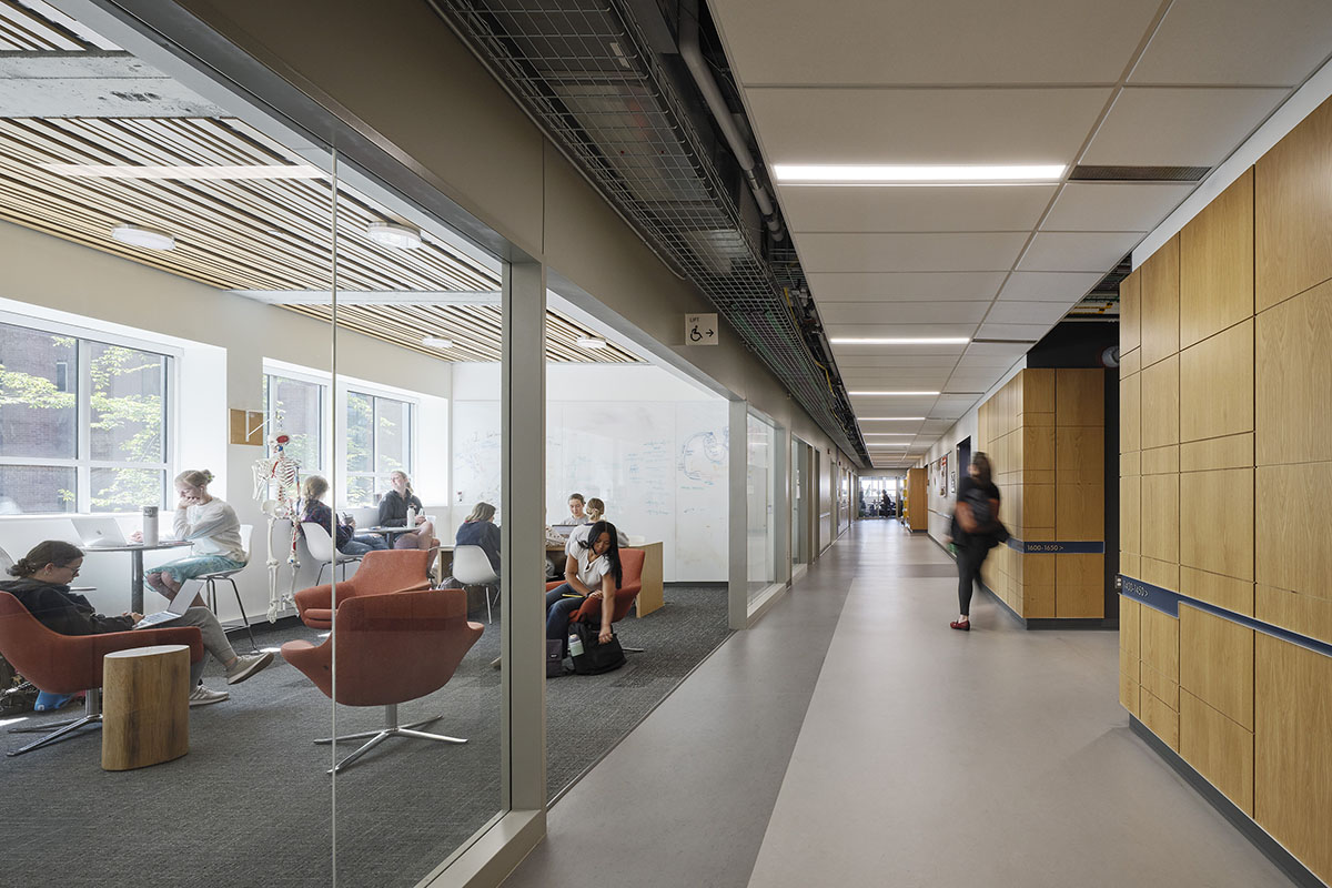 Oregon State University Cordley Hall Rehabilitation | Hennebery Eddy Architects