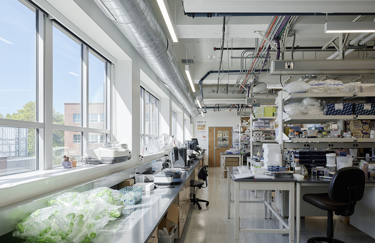 Oregon State University Cordley Hall Rehabilitation | Hennebery Eddy Architects
