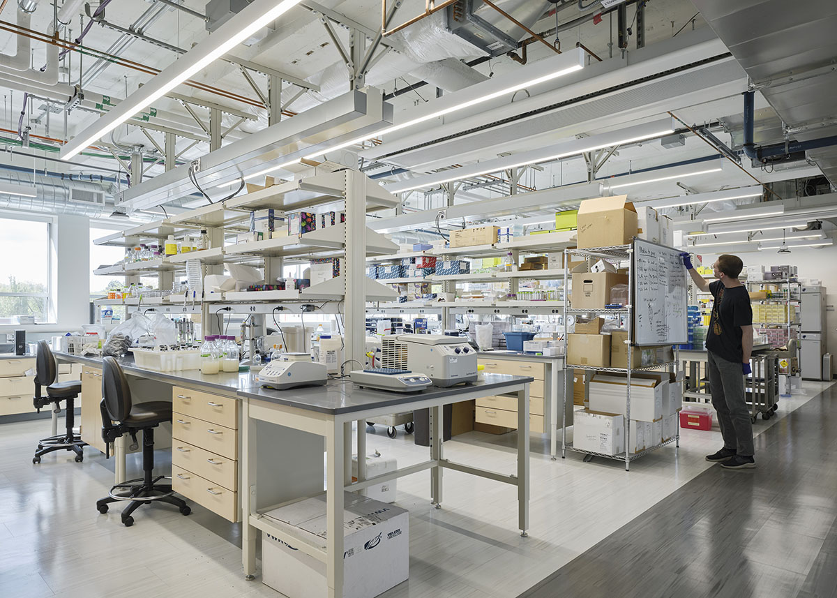 Oregon State University Cordley Hall Rehabilitation | Hennebery Eddy Architects
