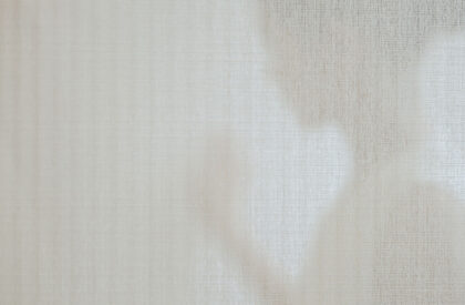 Shanghai White Series Culture Office | Aurora Design