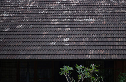 Residence at Edavanna | Zero Studio