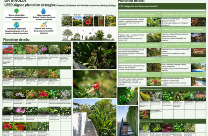 Da Birulia | Studio Shape Consults