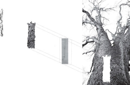 Skinning the Landscape: The Beauty of the Imprint – Reimagining Tannery Architecture Through Craft, Memory, and Landscape | Bachelors Design Project
