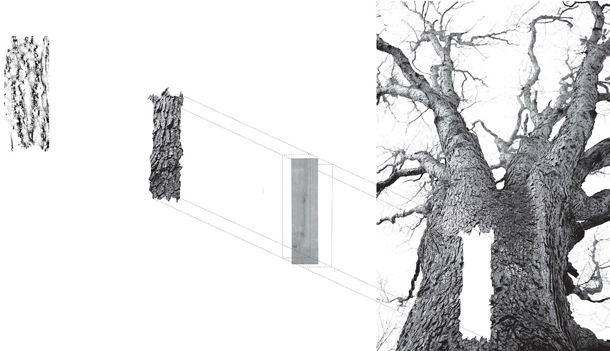 Skinning the Landscape: The Beauty of the Imprint – Reimagining Tannery Architecture Through Craft, Memory, and Landscape | Bachelors Design Project