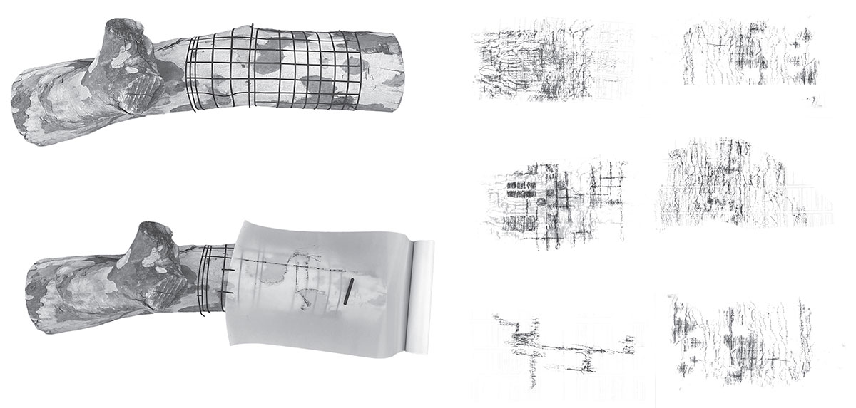 Skinning the Landscape: The Beauty of the Imprint – Reimagining Tannery Architecture Through Craft, Memory, and Landscape | Bachelors Design Project