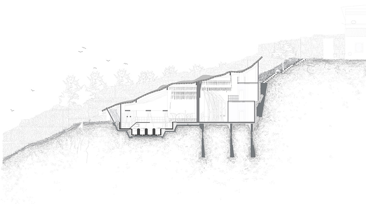 Skinning the Landscape: The Beauty of the Imprint – Reimagining Tannery Architecture Through Craft, Memory, and Landscape | Bachelors Design Project