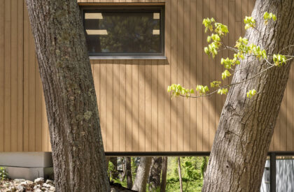 The Bridge at Waring School | OPAL