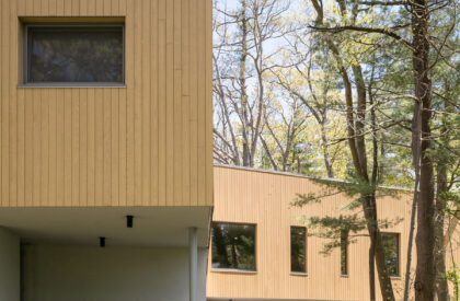 The Bridge at Waring School | OPAL