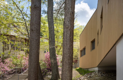 The Bridge at Waring School | OPAL