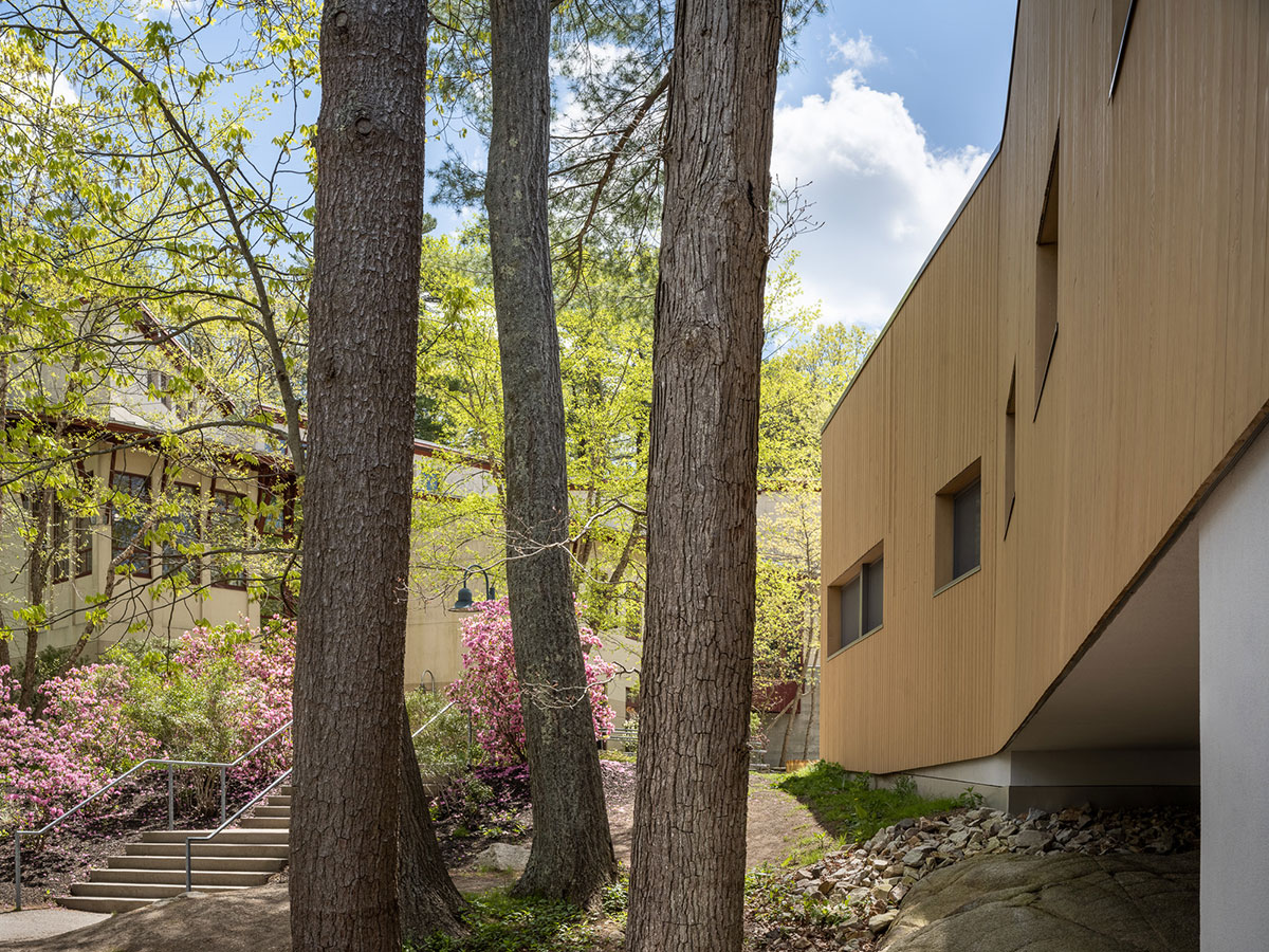 The Bridge at Waring School | OPAL